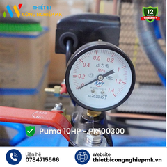 Máy Nén Khí Puma 10HP
