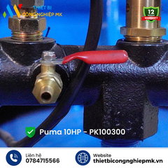 Máy Nén Khí Puma 10HP