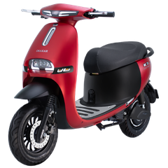 XE MÁY ĐIỆN OSAKAR GOGO FIONA