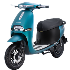 XE MÁY ĐIỆN OSAKAR GOGO FIONA