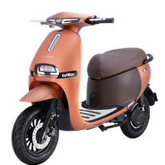 XE MÁY ĐIỆN OSAKAR GOGO FIONA