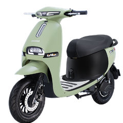 XE MÁY ĐIỆN OSAKAR GOGO FIONA