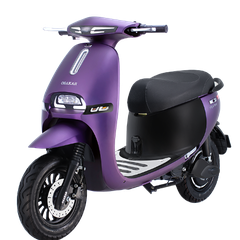 XE MÁY ĐIỆN OSAKAR GOGO FIONA