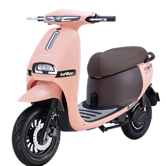 XE MÁY ĐIỆN OSAKAR GOGO FIONA