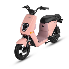 XE MÁY ĐIỆN OSAKAR HEIDI