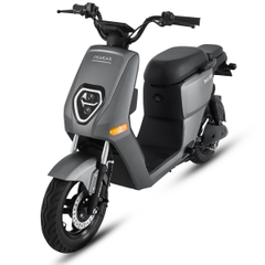 XE MÁY ĐIỆN OSAKAR HEIDI