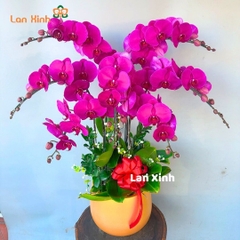Lan hồ điệp màu tím 7 cành - HD345