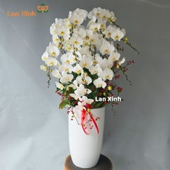 lan hồ điệp màu trắng 13 cành cắm kiểu