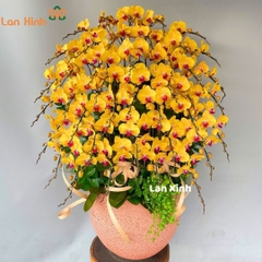 Lan hồ điệp màu vàng 40 cành - HD382