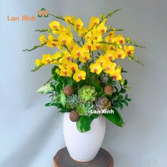 Lan hồ điệp màu vàng tươi 12 cành