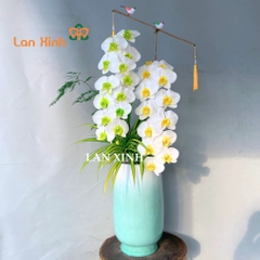 Chậu lan hồ điệp trắng cao cấp tặng sinh nhật đẹp và ý nghĩa