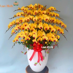 Lan hồ điệp vàng 28 cành - HD427