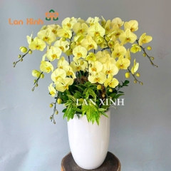 lan hồ điệp xanh bơ 9 cành chậu cao