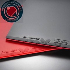 Butterfly Dignics 09C