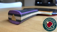 JOOLA VYZARYZ TRINITY