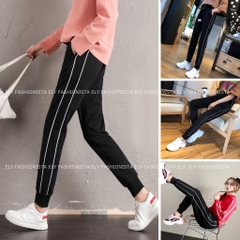 Quần jogger nữ ELY bo gấu 2 sọc cao cấp, quần thể thao nữ dây rút màu đen chất vải Mỳ Hàn đẹp cạp chun năng động ELY237