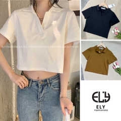 Áo croptop nữ có cổ polo dáng suông tay ngắn chất cotton cao cấp màu đen trắng đi chơi, đi làm ELY215.