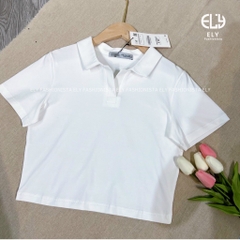 Áo croptop nữ có cổ polo dáng suông tay ngắn chất cotton cao cấp màu đen trắng đi chơi, đi làm ELY215.