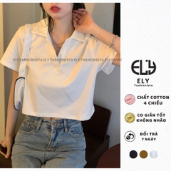 Áo croptop nữ có cổ polo dáng suông tay ngắn chất cotton cao cấp màu đen trắng đi chơi, đi làm ELY215.
