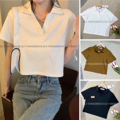 Áo croptop nữ có cổ polo dáng suông tay ngắn chất cotton cao cấp màu đen trắng đi chơi, đi làm ELY215.
