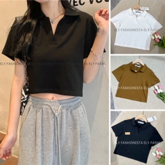 Áo croptop nữ có cổ polo dáng suông tay ngắn chất cotton cao cấp màu đen trắng đi chơi, đi làm ELY215.