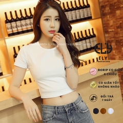 Áo croptop nữ cổ tròn cộc tay vải cotton bozip dày đẹp ôm body cao cấp crotop nữ thun co giãn tốt ELY214A