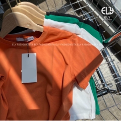 Áo croptop nữ tay ngắn cổ tròn form rộng Ely Fashion kiểu thun suông màu trắng đen hàn quốc trẻ trung ELY214