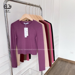 Áo croptop nữ tay dài cổ tròn vải thun coton co giãn 4 chiều kiểu basic dáng ôm body màu đen đẹp ELY278