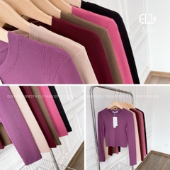 Áo croptop nữ tay dài cổ tròn vải thun coton co giãn 4 chiều kiểu basic dáng ôm body màu đen đẹp ELY278