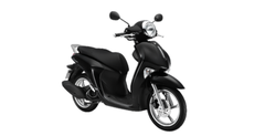 JANUS STD 2024
