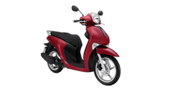 JANUS STD 2024