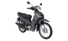 SIRIUS FI 2024 - PHANH CƠ