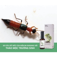 Thảo Mộc Trường Sinh - Dr'D Formula - Hỗ trợ trị lỡ loét, vết thương ngoài da.