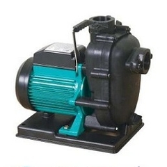 Máy bơm nước Biển Wilo PUS 750E (750W) - Nhập khẩu Hàn Quốc