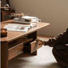 SOLIN, BT_012, Bàn trà phong cách sang trọng, 100x50x40cm, Plywood phủ veneer, Nội thất Nhà trên cao