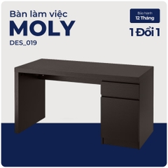 MOLY, Bàn làm việc, bàn học 1 hộc tủ, DES_019, 140x60x73cm, Nội thất Nhà trên cao