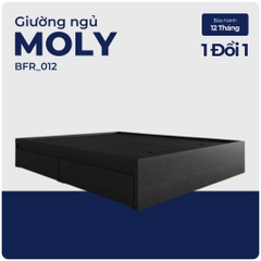 MOLY, Giường ngủ 2 hộc tủ hiện đại, BFR_012, 210x35cm, Nội thất Nhà trên cao
