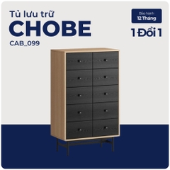CHOBE, Tủ lưu trữ, tủ trưng bày, CAB_099, 70x40x118cm, Nội thất Nhà trên cao