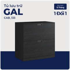 GAL, Tủ lưu trữ đồ dùng 2 ngăn kéo, CAB_133, 80x45x80cm, Nội thất Nhà trên cao