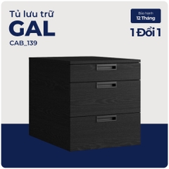 GAL, Tủ đựng hồ sơ lưu động, CAB_139, 45x60x55cm, Nội thất Nhà trên cao