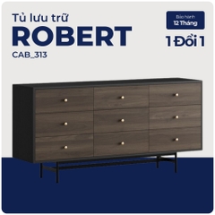 ROBERT, Kệ đựng đồ, kệ để đồ, CAB_313, 160x40x78cm, Nội thất Nhà trên cao