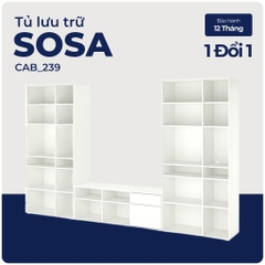 SOSA, COMBO Kệ tivi kết hợp bộ đôi kệ để đồ 6 tầng, CAB_239, 330x37x200cm, Nội thất Nhà trên cao