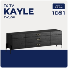 WILY, Tủ TV, Tủ lưu trữ, TVC_061, 168x40x52cm, Nội thất Nhà trên cao