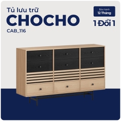 CHOCHO, Tủ lưu trữ, Tủ đựng đồ, CAB_116, 160x40x98cm, Nội thất Nhà trên cao