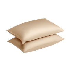 Bộ Ga Gối 100% Tencel ETS07