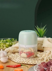 Máy Xay Tỏi Ớt Tiện Dụng
