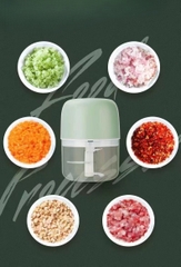 Máy Xay Tỏi Ớt Tiện Dụng