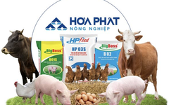 Phân Bón-Thức ăn chăn nuôi