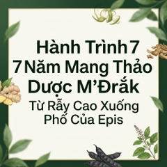 Hành Trình 7 Năm Mang Thảo Dược M’Đrắk Từ Rẫy Cao Xuống Phố Của Epis