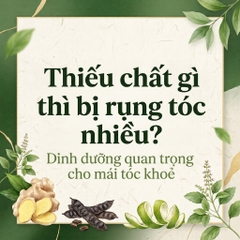Thiếu chất gì thì bị rụng tóc nhiều? Dinh dưỡng quan trọng cho mái tóc khoẻ